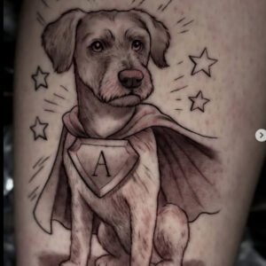 Retratos de personas o mascotas